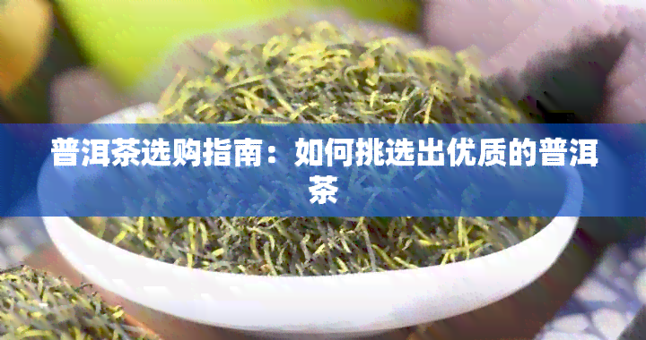 普洱茶选购指南：如何挑选出优质的普洱茶