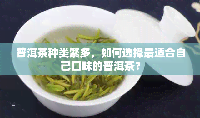 普洱茶种类繁多，如何选择最适合自己口味的普洱茶？