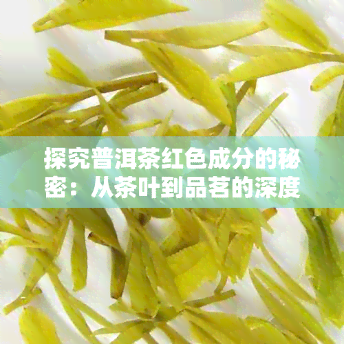 探究普洱茶红色成分的秘密：从茶叶到品茗的深度解析