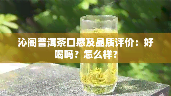 沁阁普洱茶口感及品质评价：好喝吗？怎么样？