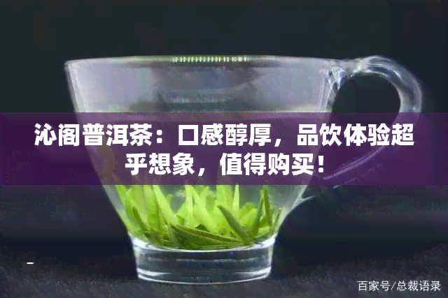 沁阁普洱茶：口感醇厚，品饮体验超乎想象，值得购买！