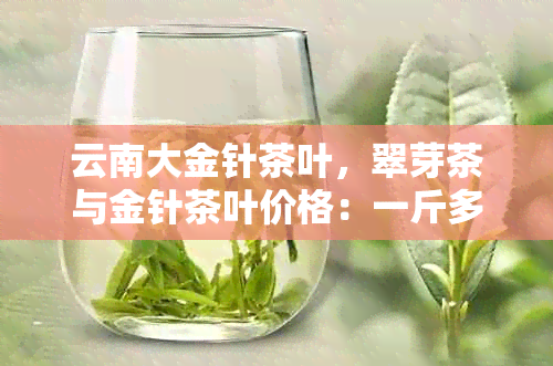 云南大金针茶叶，翠芽茶与金针茶叶价格：一斤多少钱？