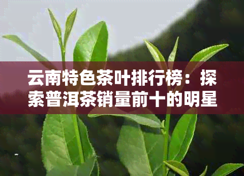 云南特色茶叶排行榜：探索普洱茶销量前十的明星产品