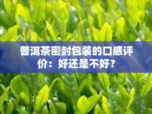 普洱茶密封包装的口感评价：好还是不好？