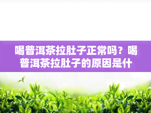 喝普洱茶拉肚子正常吗？喝普洱茶拉肚子的原因是什么？如何解决这个问题？