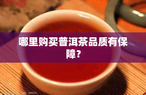 哪里购买普洱茶品质有保障？