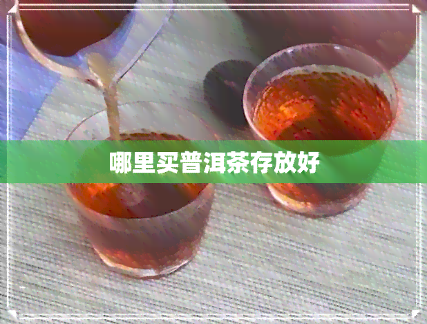 哪里买普洱茶存放好