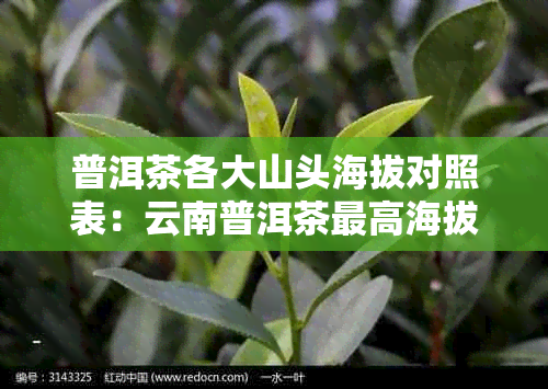 普洱茶各大山头海拔对照表：云南普洱茶更高海拔决定品质，但并非越高越好