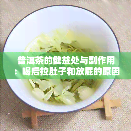 普洱茶的健益处与副作用：喝后拉肚子和放屁的原因是什么？