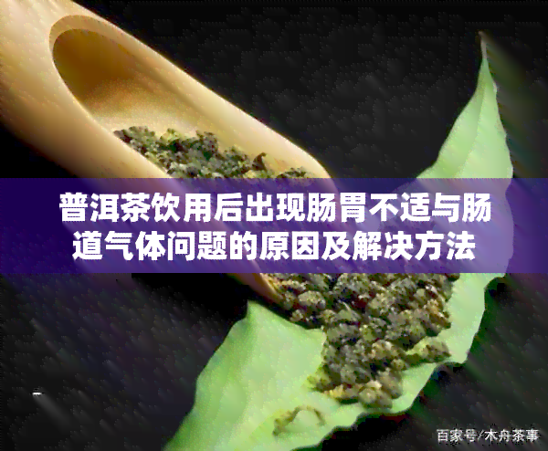 普洱茶饮用后出现肠胃不适与肠道气体问题的原因及解决方法