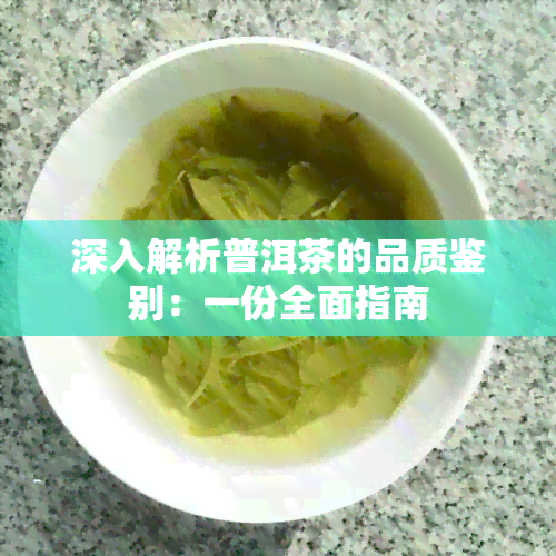 深入解析普洱茶的品质鉴别：一份全面指南