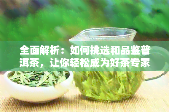 全面解析：如何挑选和品鉴普洱茶，让你轻松成为好茶专家