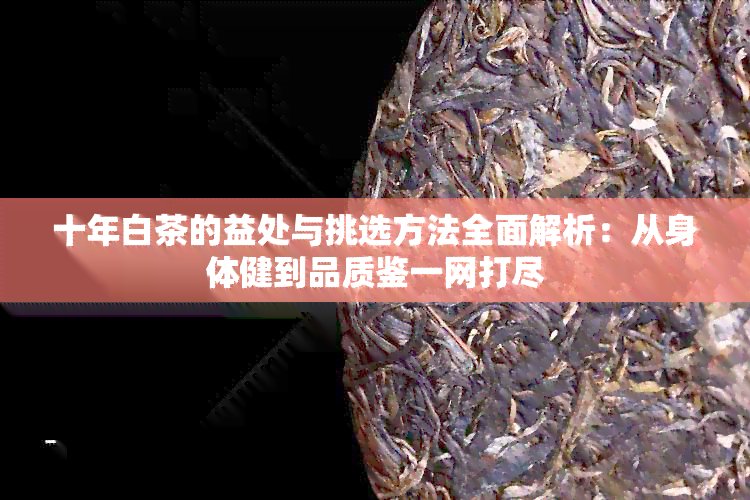 十年白茶的益处与挑选方法全面解析：从身体健到品质鉴一网打尽