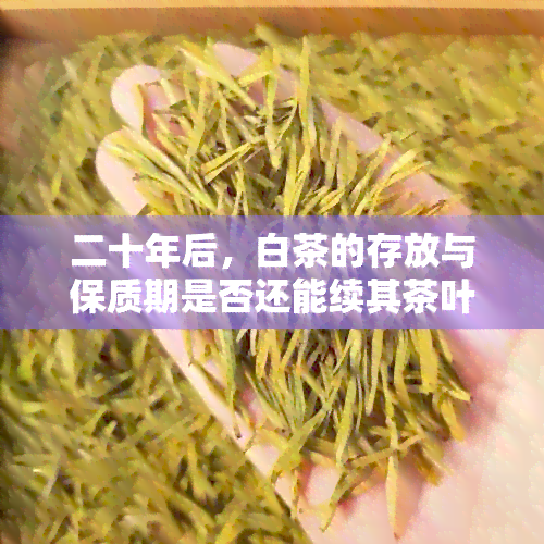 二十年后，白茶的存放与保质期是否还能续其茶叶魅力？