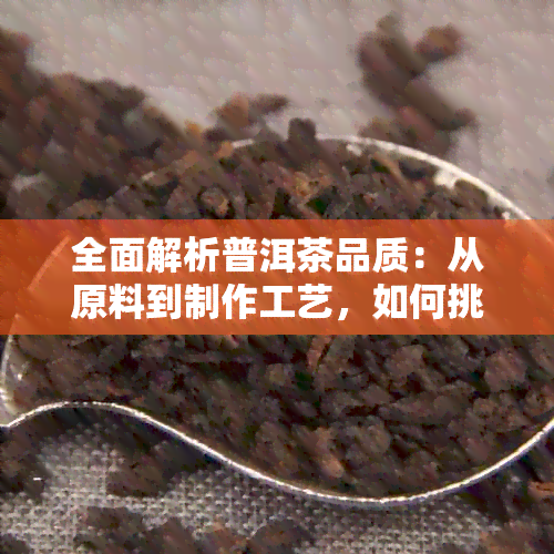 全面解析普洱茶品质：从原料到制作工艺，如何挑选一款好的普洱茶？