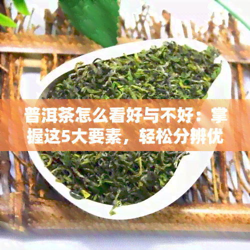 普洱茶怎么看好与不好：掌握这5大要素，轻松分辨优质普洱！