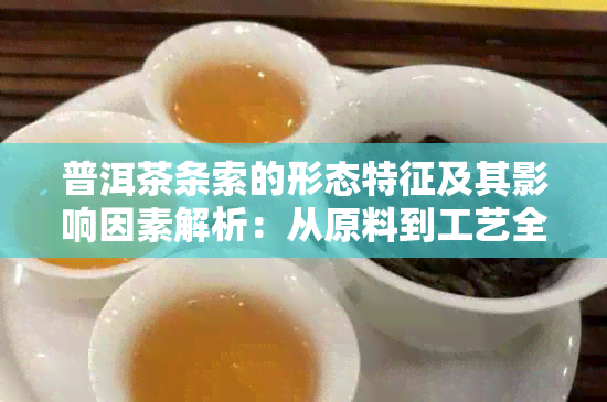 普洱茶条索的形态特征及其影响因素解析：从原料到工艺全方位了解