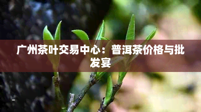 广州茶叶交易中心：普洱茶价格与批发宴