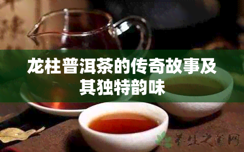 龙柱普洱茶的传奇故事及其独特韵味