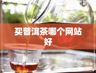 买普洱茶哪个网站好