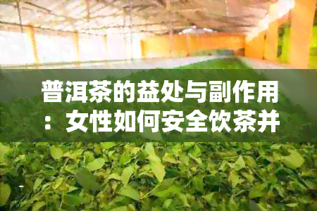 普洱茶的益处与副作用：女性如何安全饮茶并保护肾脏健？