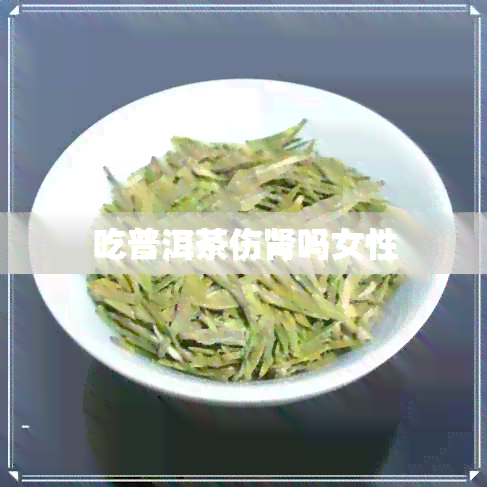 吃普洱茶伤肾吗女性