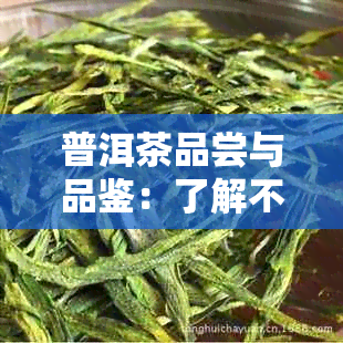 普洱茶品尝与品鉴：了解不同年份普洱茶的品质特征，找到最适合您的好茶