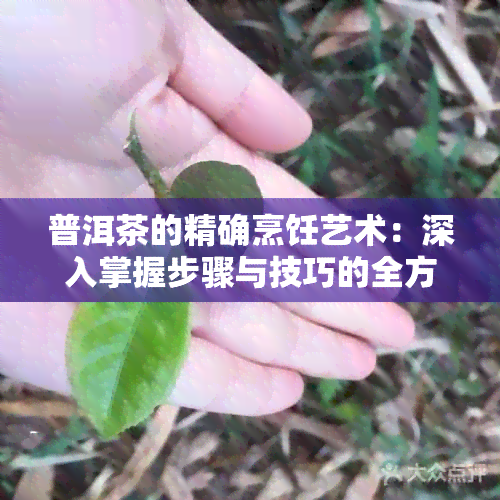 普洱茶的精确烹饪艺术：深入掌握步骤与技巧的全方位指南