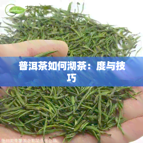 普洱茶如何沏茶：度与技巧