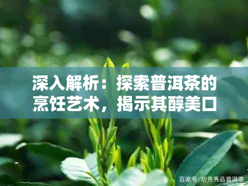 深入解析：探索普洱茶的烹饪艺术，揭示其醇美口感的秘密