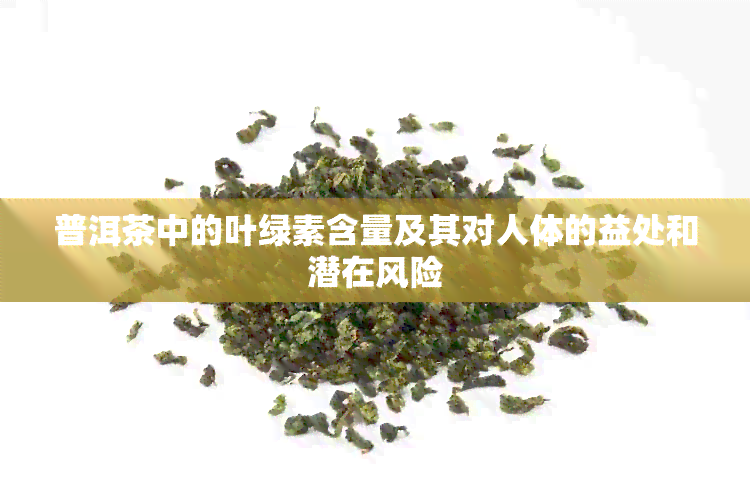 普洱茶中的叶绿素含量及其对人体的益处和潜在风险