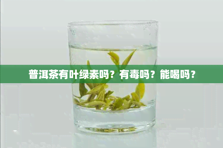 普洱茶有叶绿素吗？有吗？能喝吗？