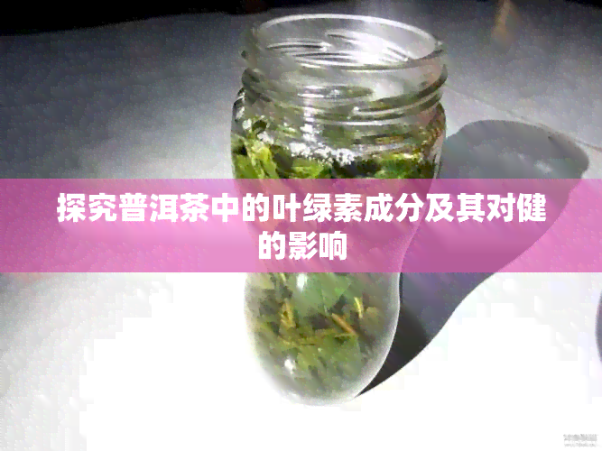 探究普洱茶中的叶绿素成分及其对健的影响