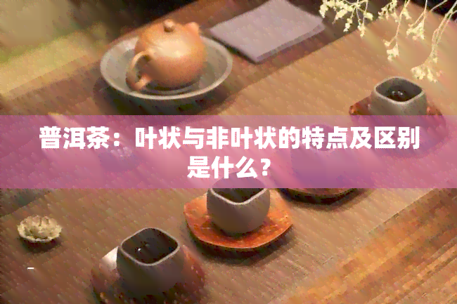 普洱茶：叶状与非叶状的特点及区别是什么？