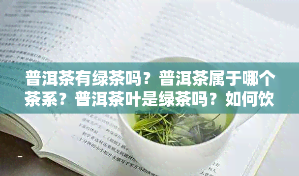 普洱茶有绿茶吗？普洱茶属于哪个茶系？普洱茶叶是绿茶吗？如何饮用普洱茶？