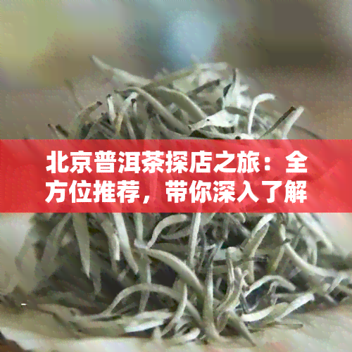 北京普洱茶探店之旅：全方位推荐，带你深入了解普洱茶的魅力与选购技巧