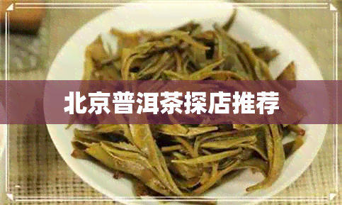 北京普洱茶探店推荐