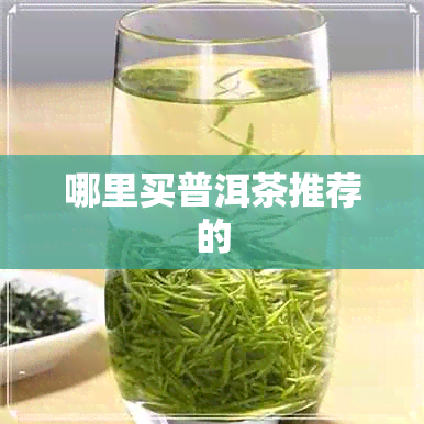 哪里买普洱茶推荐的