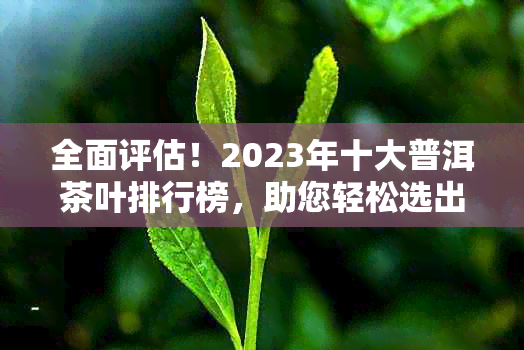 全面评估！2023年十大普洱茶叶排行榜，助您轻松选出优质茶叶