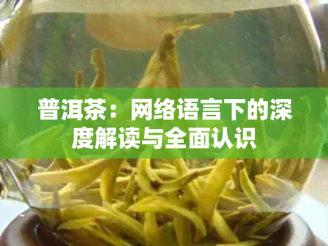 普洱茶：网络语言下的深度解读与全面认识