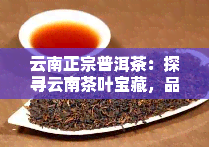 云南正宗普洱茶：探寻云南茶叶宝藏，品鉴地道普洱茶香