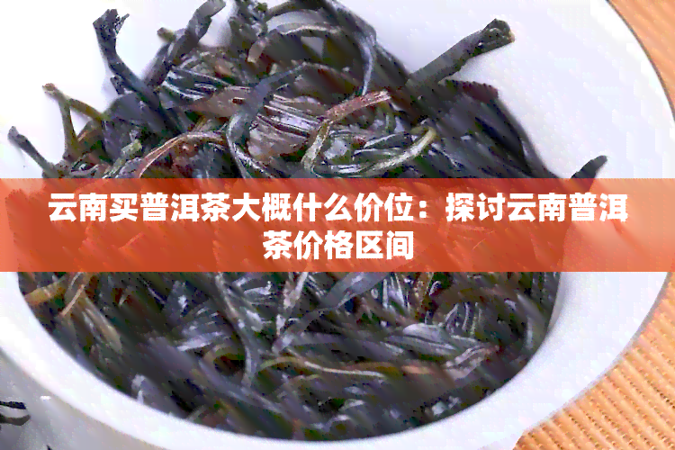 云南买普洱茶大概什么价位：探讨云南普洱茶价格区间