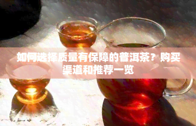 如何选择质量有保障的普洱茶？购买渠道和推荐一览