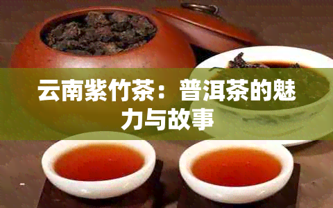 云南紫竹茶：普洱茶的魅力与故事