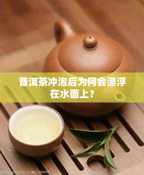 普洱茶冲泡后为何会漂浮在水面上？