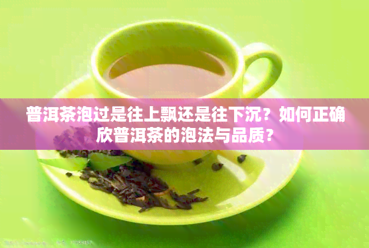 普洱茶泡过是往上飘还是往下沉？如何正确欣普洱茶的泡法与品质？