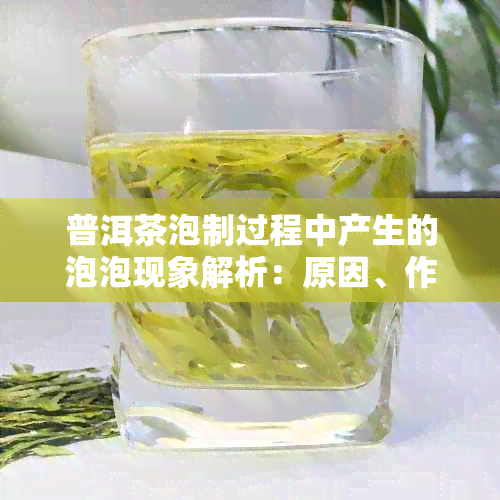 普洱茶泡制过程中产生的泡泡现象解析：原因、作用与影响