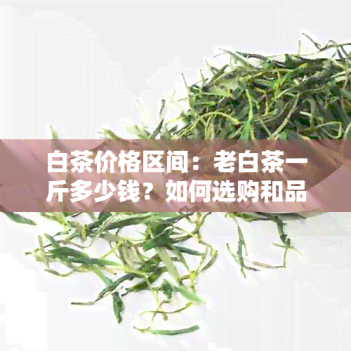 白茶价格区间：老白茶一斤多少钱？如何选购和品鉴老白茶？