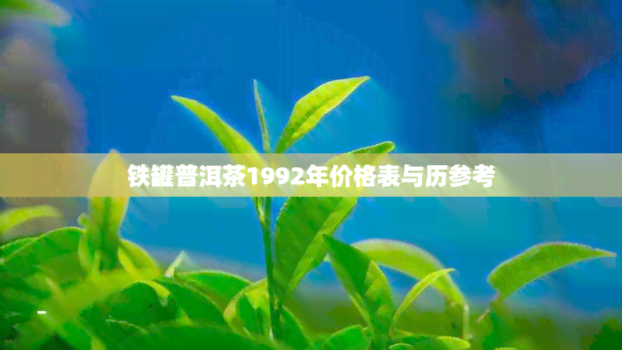 铁罐普洱茶1992年价格表与历参考