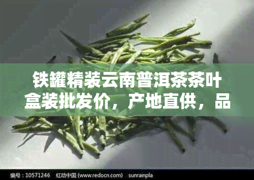 铁罐精装云南普洱茶茶叶盒装批发价，产地直供，品质保证